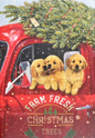 Festive Pups Small Boxed Holiday Cards