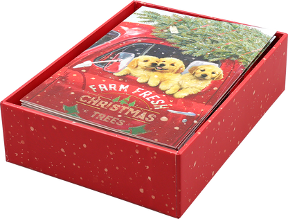 Festive Pups Small Boxed Holiday Cards