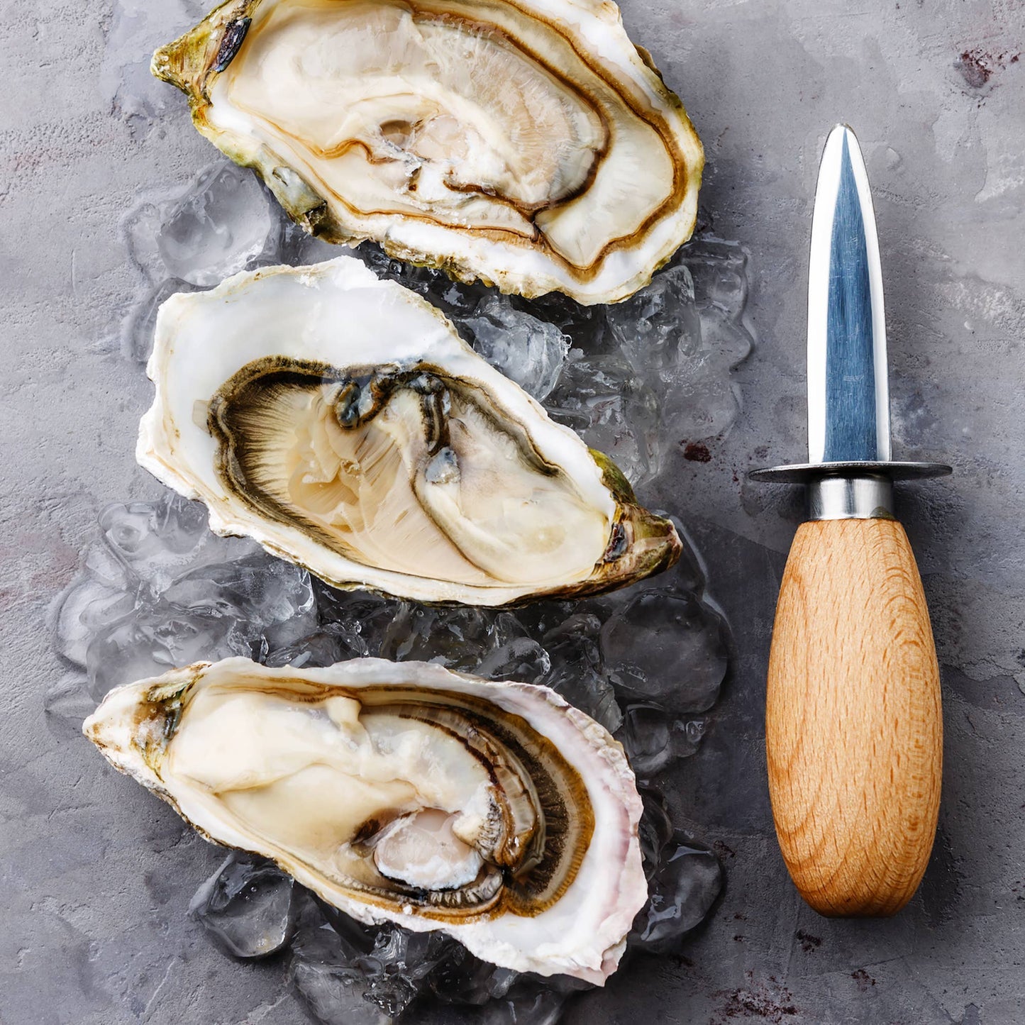 Nantucket Oyster Knife, Wooden Handle, 6" x 1.25" x 1.25"