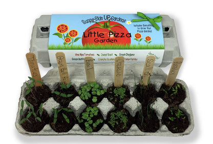 Little Pizza Garden Grow Kit