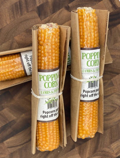 Popcorn Cobs