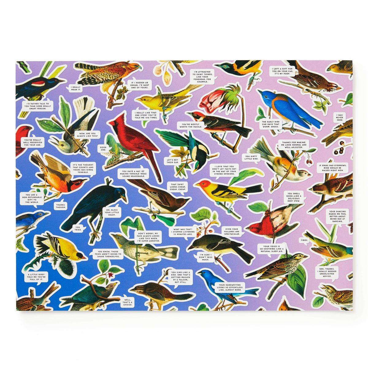 Brass Monkey Salty Birds 1000 Piece Puzzle