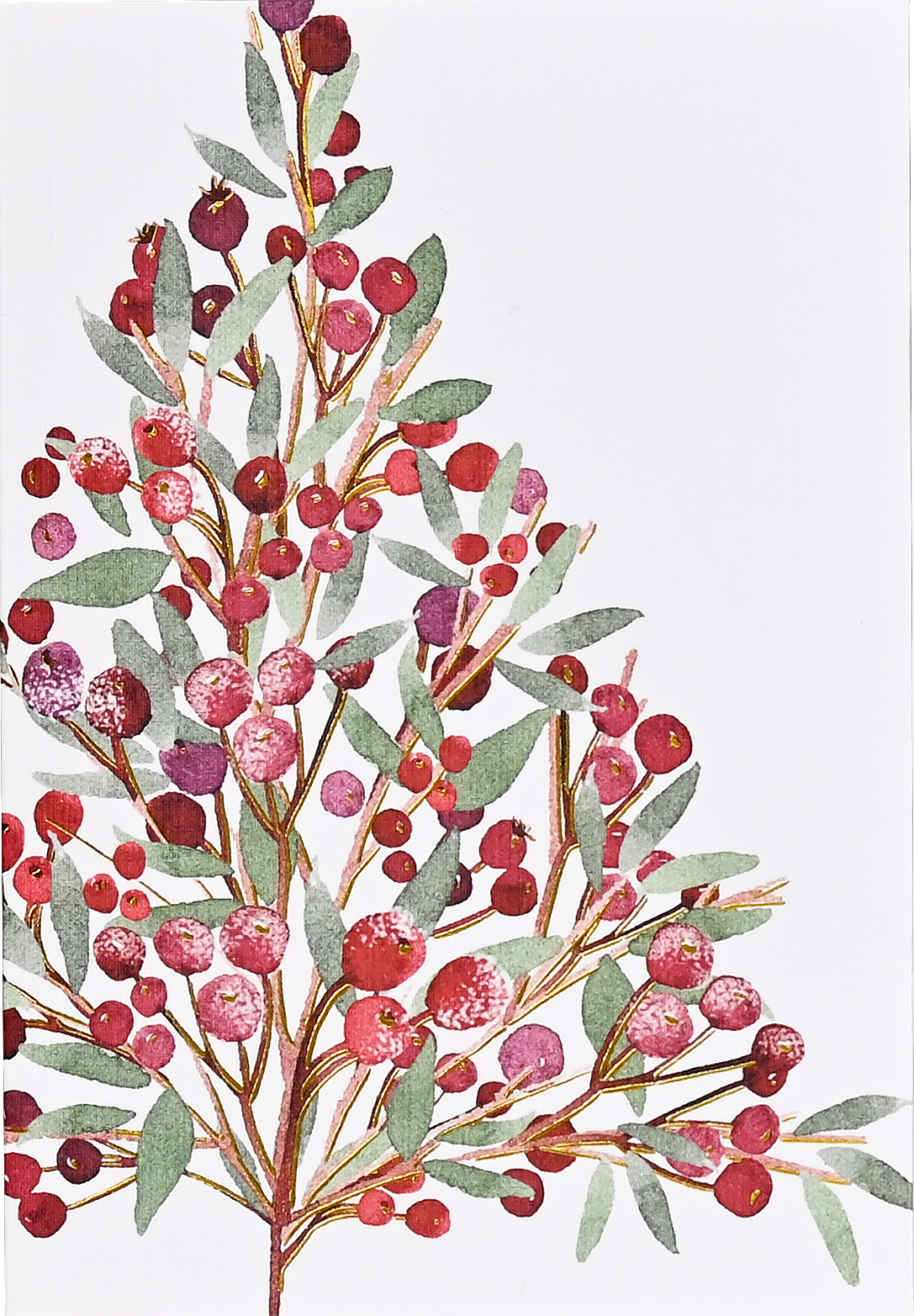 Festive Bough Small Boxed Holiday Cards